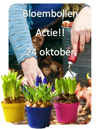 Bloembollen actie